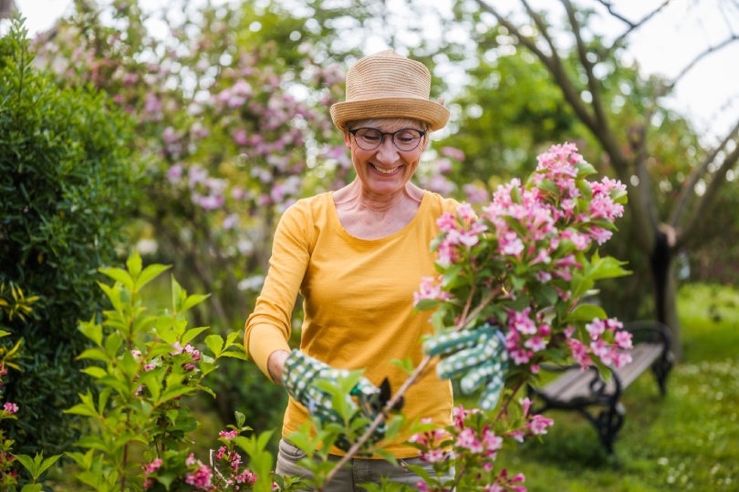 Portrait of happy senior woman gardening. She is pruning flowers.